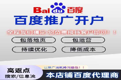 行业领先的SEM竞价广告投放案例
